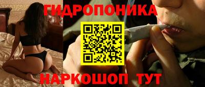 гидропоника Кунгур