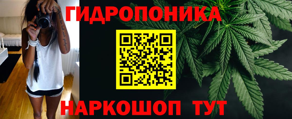 Марихуана White Widow Ухта